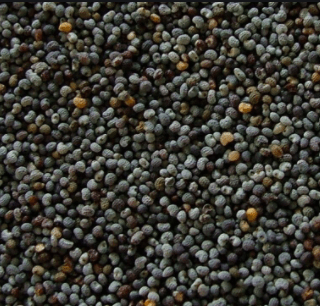 AMAPOLA TOSTY 50gr AMAPOLA TOSTY 50gr