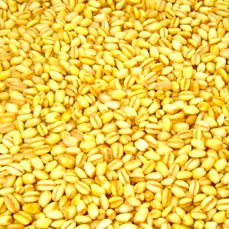 Trigo Mote TOSTY 500gr Trigo Mote TOSTY 500gr