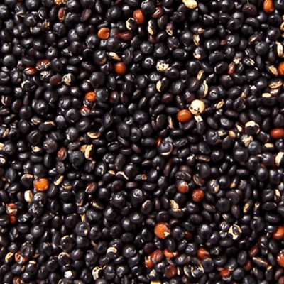 Quinoa Negra TOSTY 250gr Quinoa Negra TOSTY 250gr