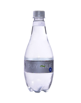AGUA PUYEHUE CON GAS 500cc AGUA PUYEHUE CON GAS 500cc