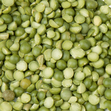 ARVEJA ENTERA TOSTY 500gr ARVEJA ENTERA TOSTY 500gr