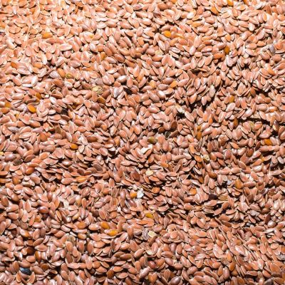 Linaza Entera TOSTY 500gr Linaza Entera TOSTY 500gr