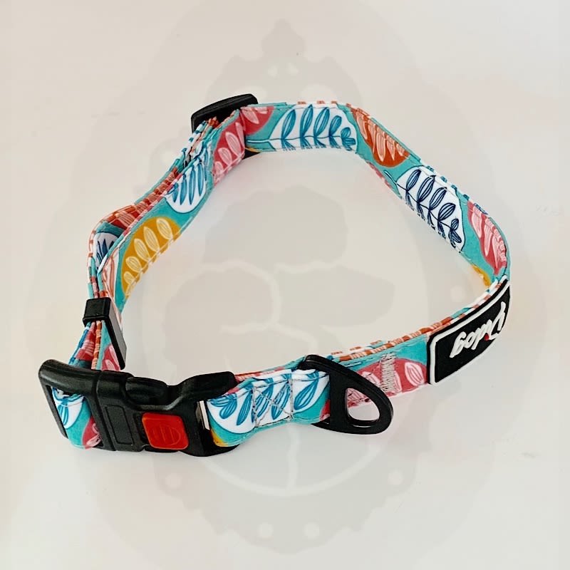 Collar Con Foto De Perro Dentro