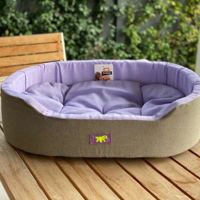 FP Cama acolchada Dandy 65C FP Cama acolchada Dandy 65C