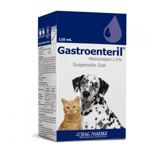 Gastroenteril Gastroenteril