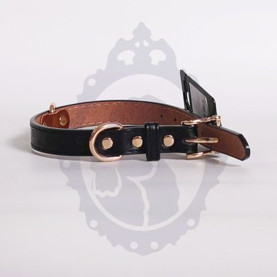 Collar perro huellas Collar perro huellas