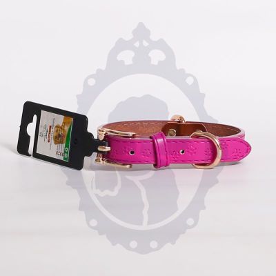Collar perro huellas Collar perro huellas