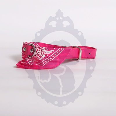 Collar perro c/pañoleta Collar perro c/pañoleta