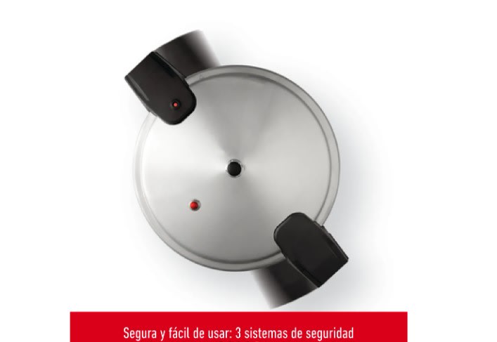 Olla a Presión Easy T-Fal 12QT5