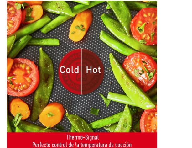 Sartén Unlimited 30 CM2