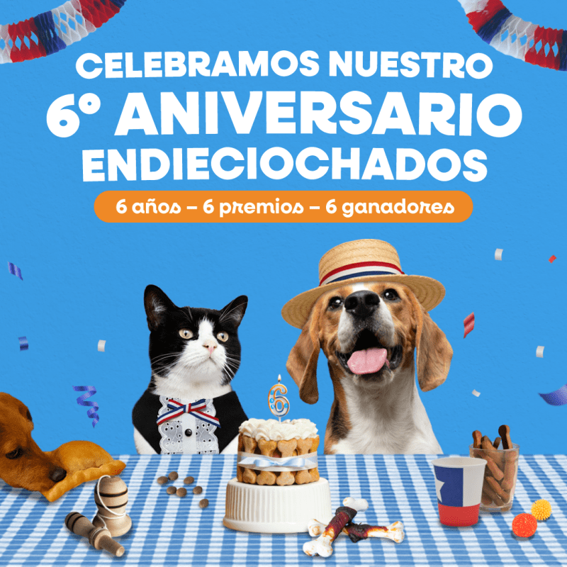 CONCURSO 6TO ANIVERSARIO VALDIPETS