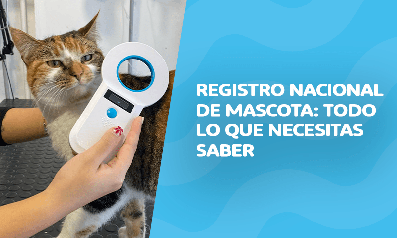 Registra Nacional de Mascota: todo lo que necesitas saber