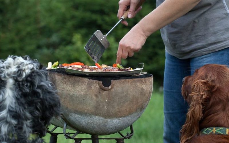 Fiestas Patrias ¡Cuida a tus animales!