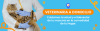 article nuevo servicio consulta veterinaria a domicilio