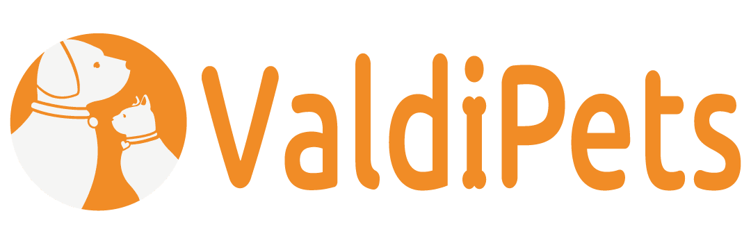 DISPENSADOR DE AGUA - GATO