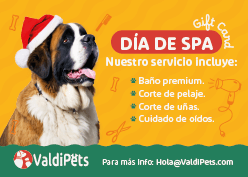 Gift Card Peluqueria