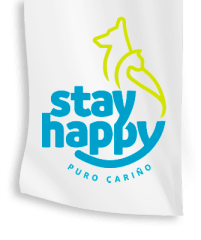 STAY HAPPY
