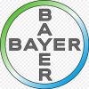Bayer
