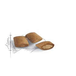 ALIMENTO PERRO - ROYAL CANIN - MINI AGEING 12+ ALIMENTO PERRO - ROYAL CANIN - MINI AGEING 12+