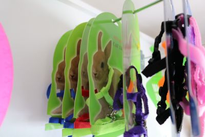 ARNES MASCOTA ARNES MASCOTA