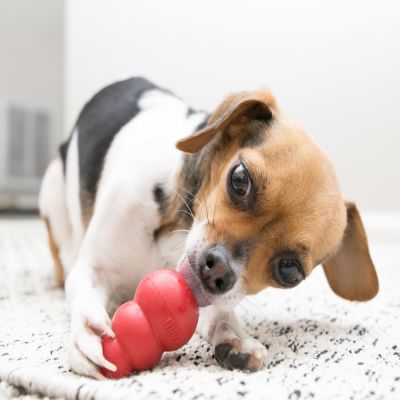 JUGUETE PERRO - KONG - CLASSIC S JUGUETE PERRO - KONG - CLASSIC S