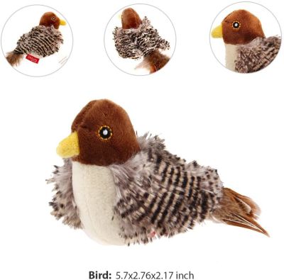 JUGUETE MASCOTA - GIGWI - PAJARO MELODY CHASER9