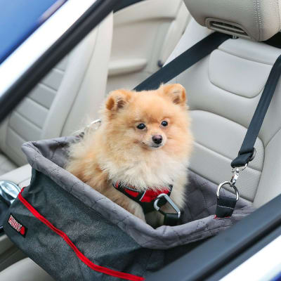 ASIENTO PARA VEHICULO - KONG1