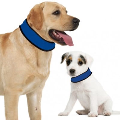 ACCESORIO MASCOTA - MARBEN PETS - COLLAR REFRESCANTE