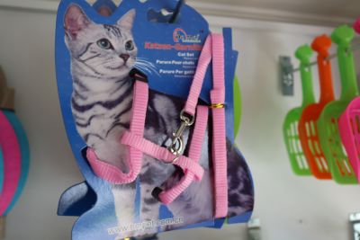 ARNES MASCOTA ARNES MASCOTA
