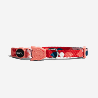 COLLAR GATO - ZEE CAT - SAME COLLAR GATO - ZEE CAT - SAME