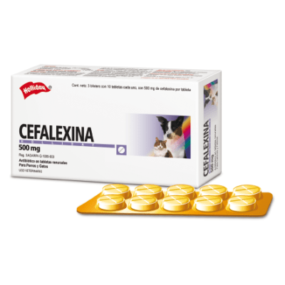 CEFALEXINA1