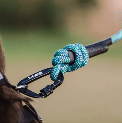 ACCESORIO MASCOTA - PETLOUNGE- CORREA RESISTENTE 3