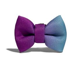 ACCESORIO PERRO - ZEE DOG - WAVE BOW TIE ACCESORIO PERRO - ZEE DOG - WAVE BOW TIE