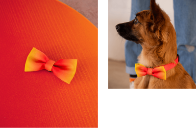 ACCESORIO - ZEE DOG - MASCOTA - CITRUS - BOW TIE ACCESORIO - ZEE DOG - MASCOTA - CITRUS - BOW TIE