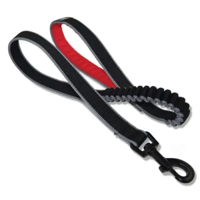ACCESORIO MASCOTA - CORREA AUTO 