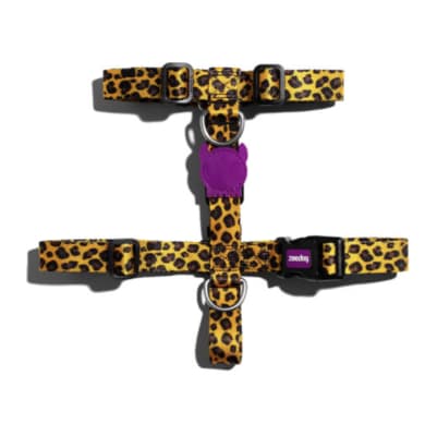 ARNÉS PERRO - ZEE DOG - HONEY H HARNESS1