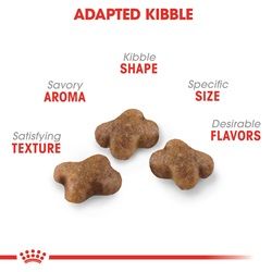 ALIMENTO GATO - ROYAL CANIN - KITTEN ALIMENTO GATO - ROYAL CANIN - KITTEN