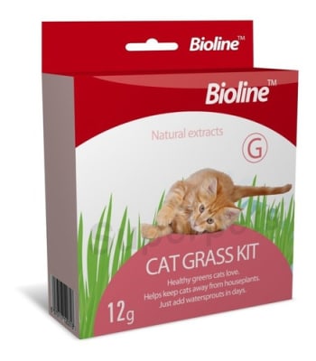 MARBEN PETS - KIT PASTO PARA GATOS1