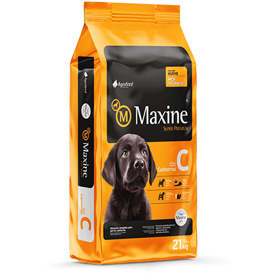 ALIMENTO PERRO - MAXINE - CACHORRO1