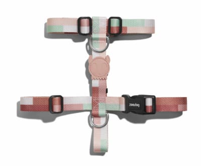 ARNÉS PERRO - ZEE DOG -  LAGUNA H HARNESS1