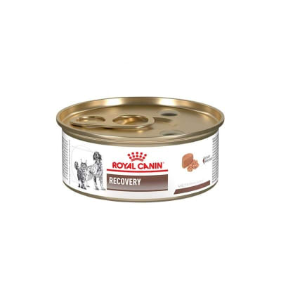 ROYAL CANIN - LATAS RECOVERY - PERROS Y GATOS1