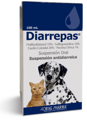 SUSPENSIÓN ANTIDIARREICA - DRAGPHARMA - DIARREPAS1