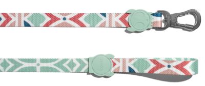 CORREA PERRO - ZEE DOG - MARCUCH1