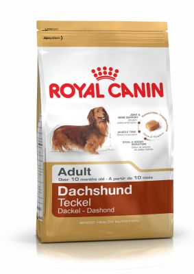 ALIMENTO PERRO - ROYAL CANIN - DACHSHUND ADULTO1
