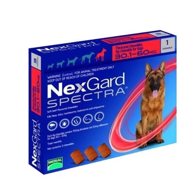 ANTIPARASITARIO INTERNO Y EXTERNO PERRO - NEXGARD - SPECTRA 30.1 A 60 KG - MASTICABLE1