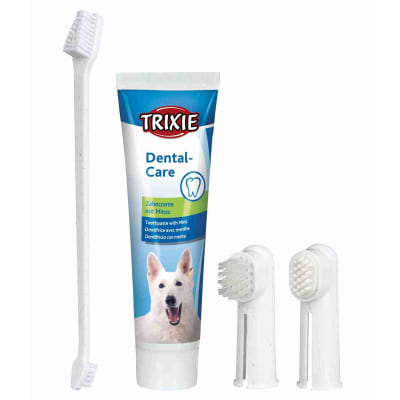 SET HIGIENE DENTAL PERRO1