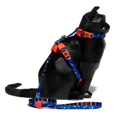 ARNES + CORREA - ZEE CAT - ATLANTA1