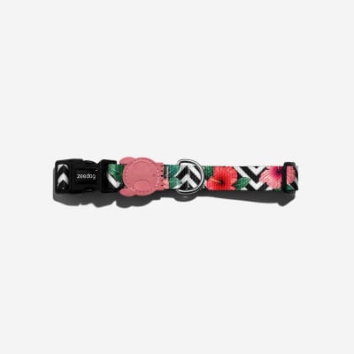 COLLAR PERRO - ZEE DOG - MAHALO COLLAR PERRO - ZEE DOG - MAHALO