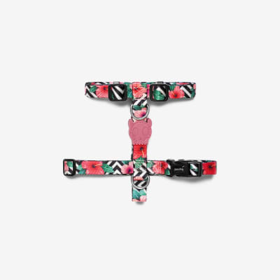 ARNÉS PERRO - ZEE DOG - H HARNESS MAHALO2