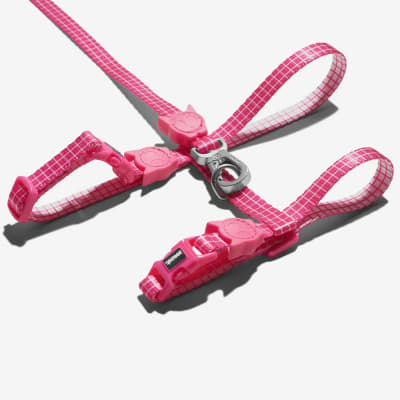 ARNES GATO+ CORREA - ZEE CAT - PINK WAVE3